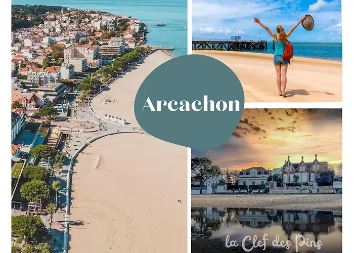 Le Petit Joffre Daire La Teste-de-Buch