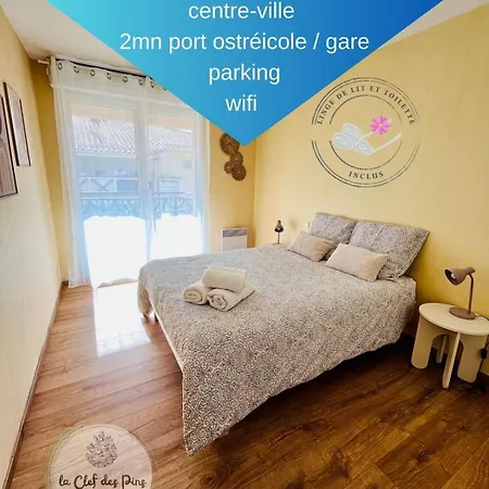 Le Petit Joffre 拉特斯特德布赫